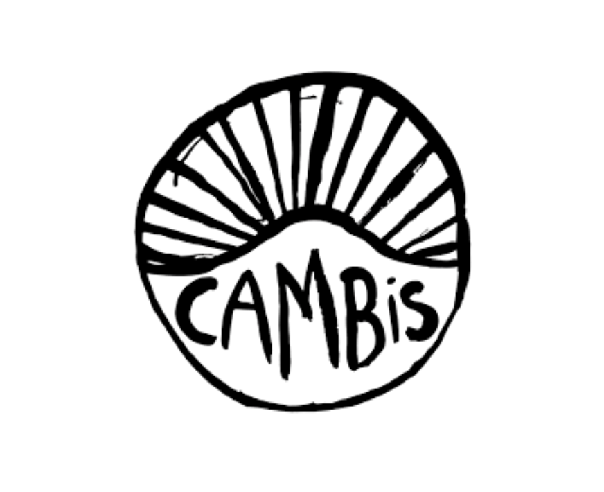 Logo Domaine de Cambis