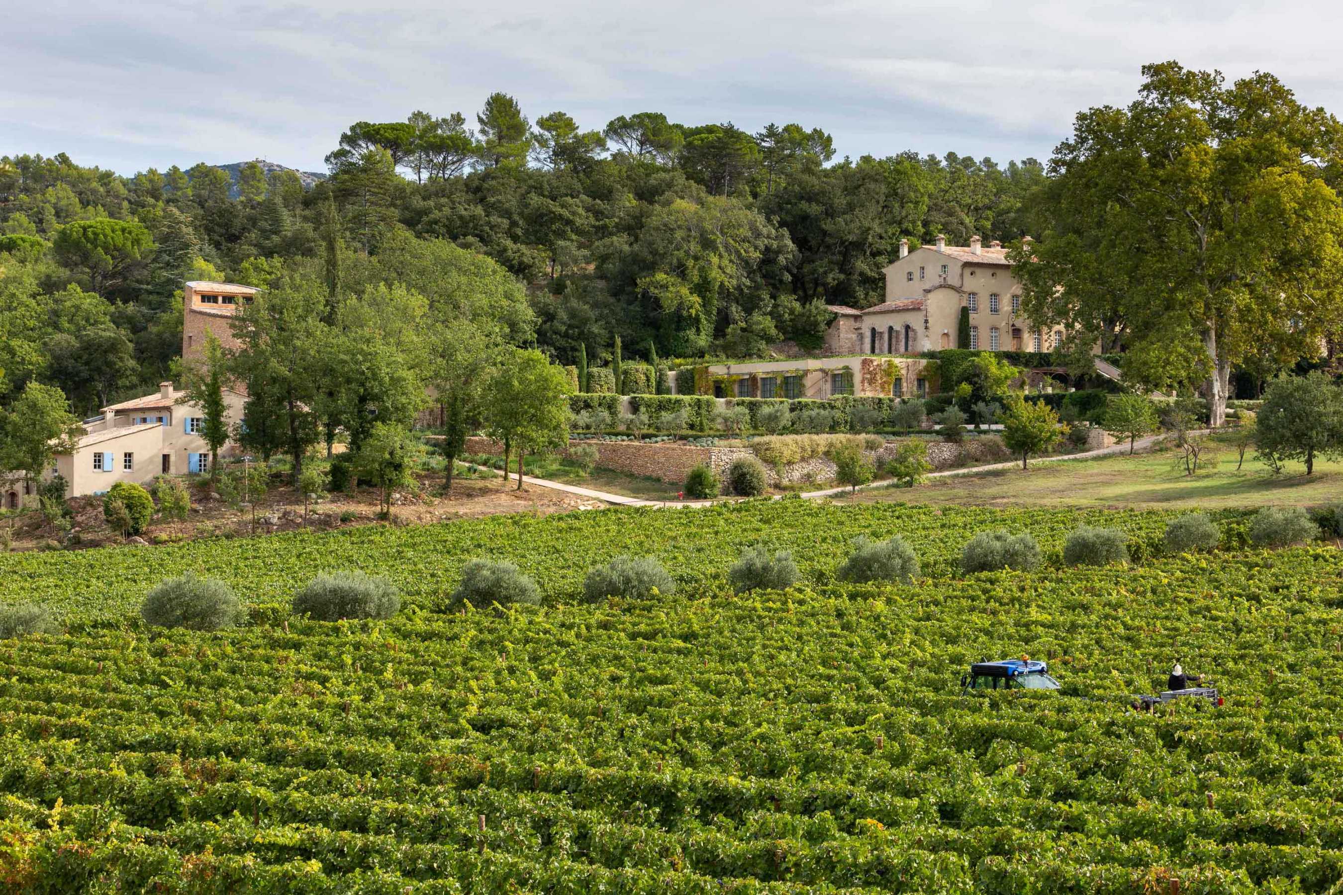 Château Margüi Vineyards