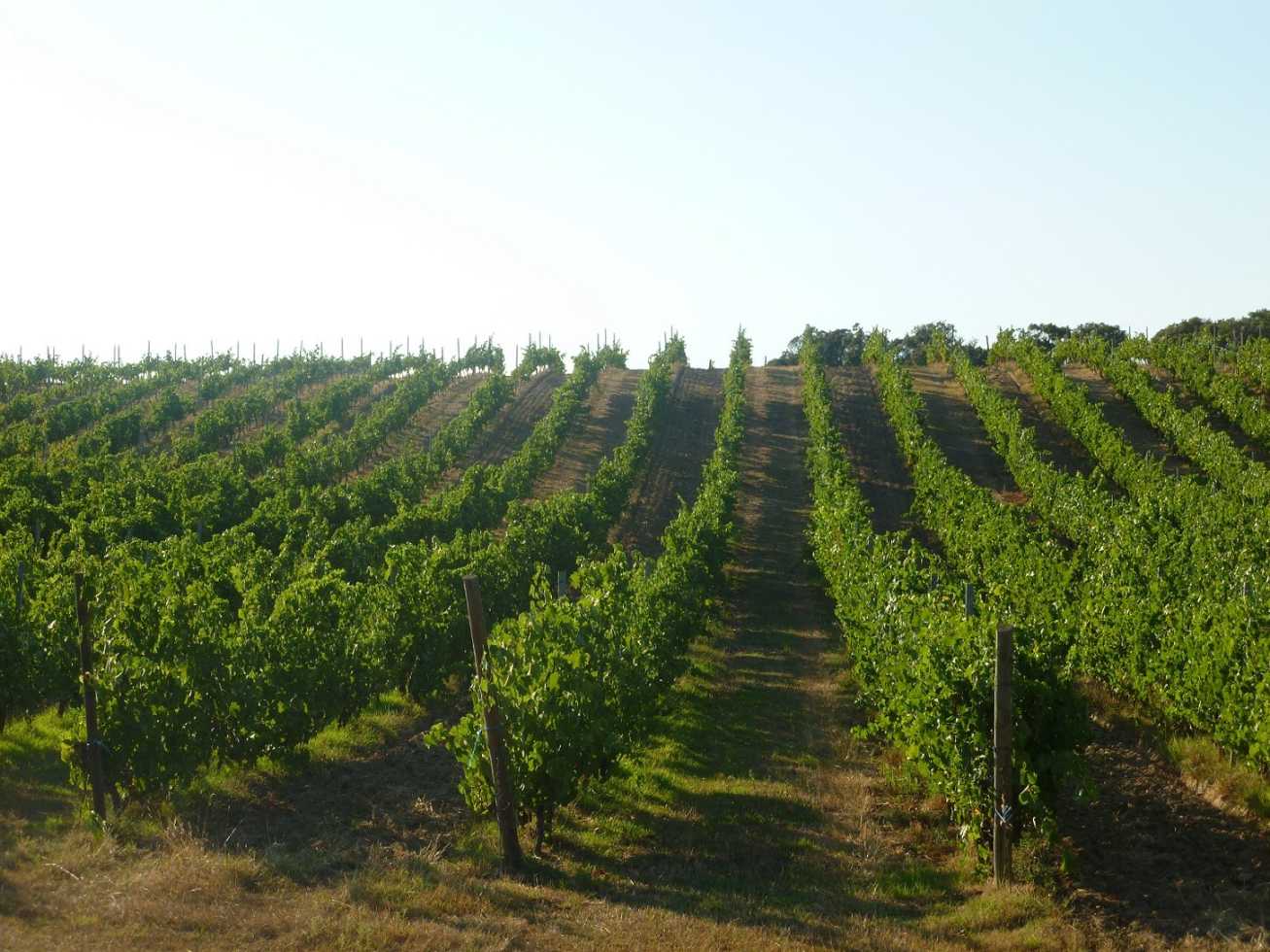 Clos Ornasca