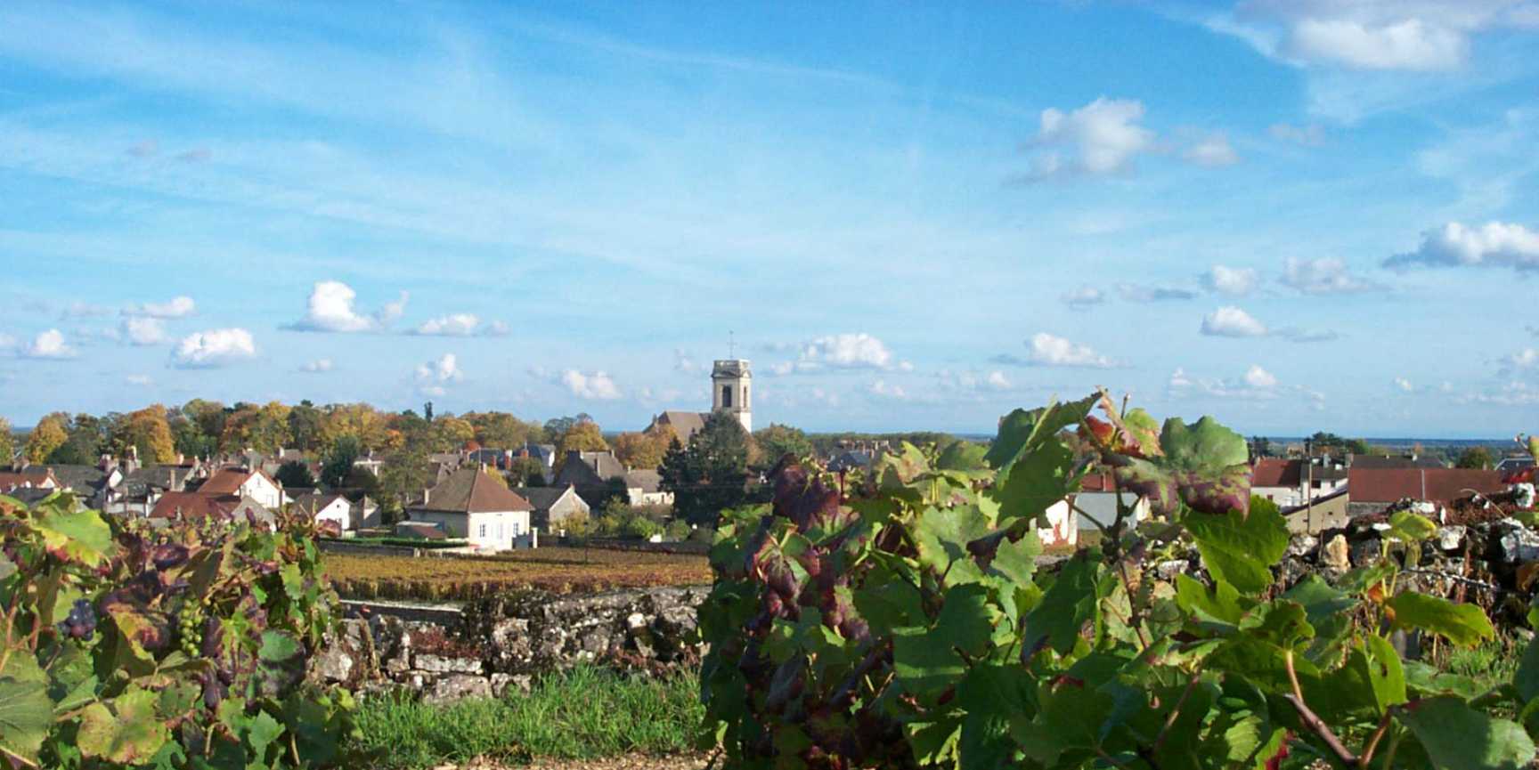 Domaine Cyrot Buthiau