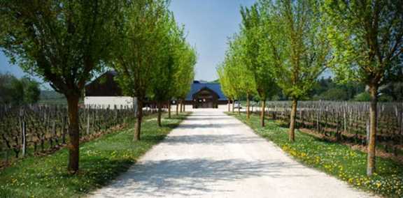 Domaine de Montcy