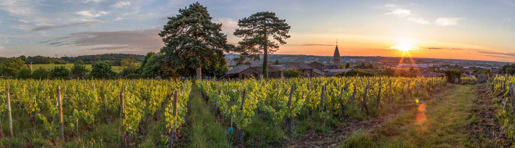 Domaine du Clos des Rocs