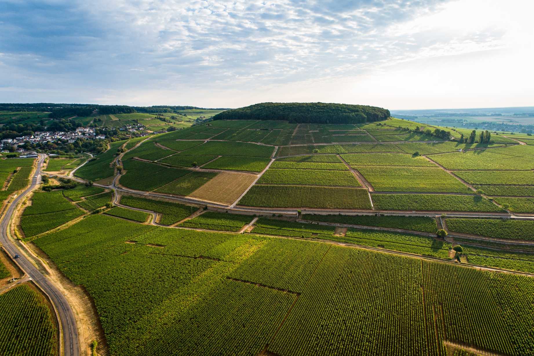 Domaine Françoise André