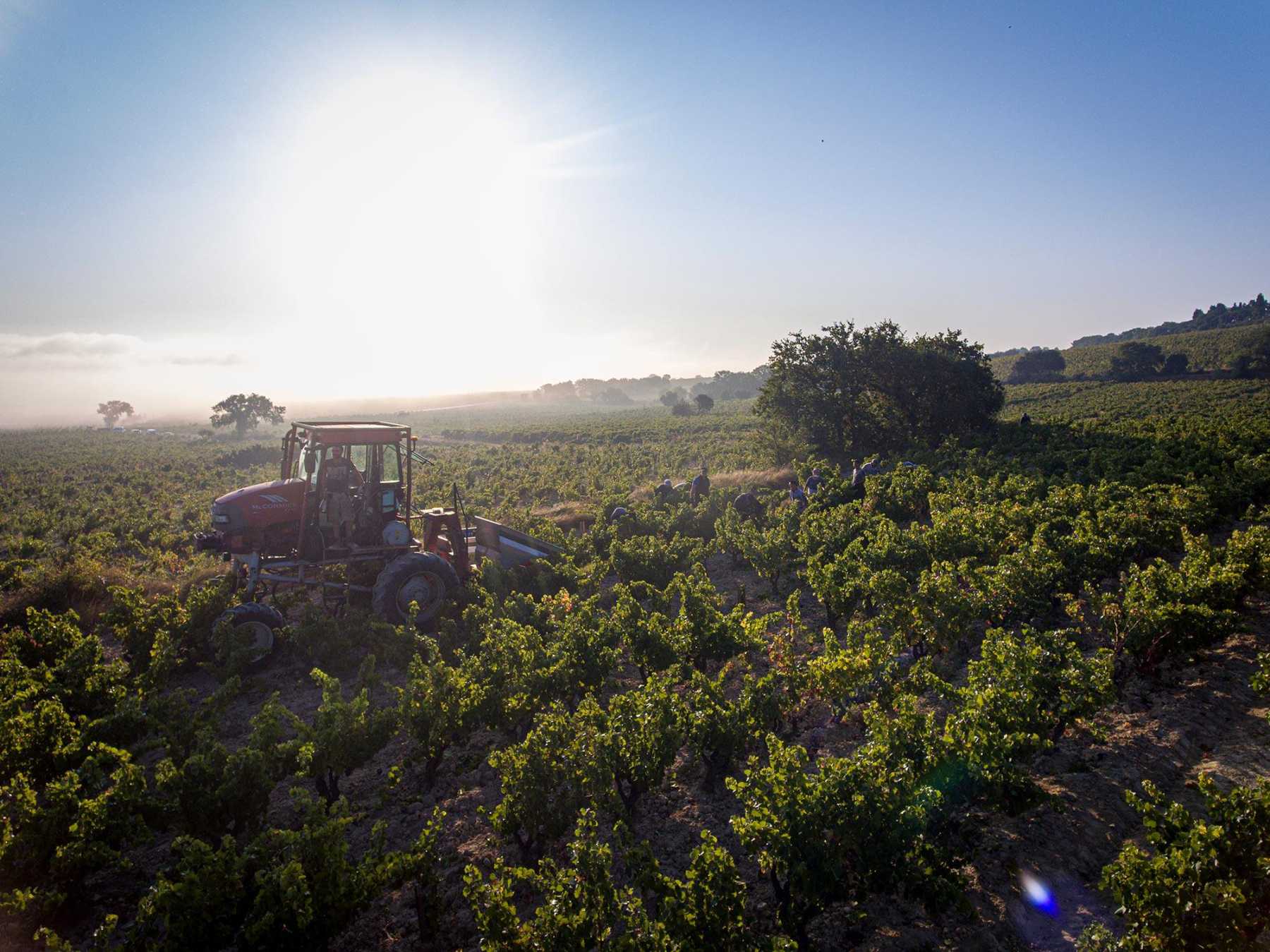 Domaine Usseglio Raymond & Fils