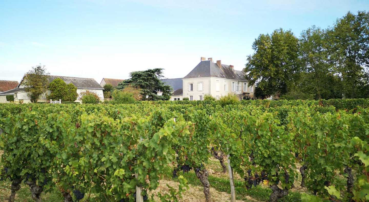 Manoir de la Bellonniere